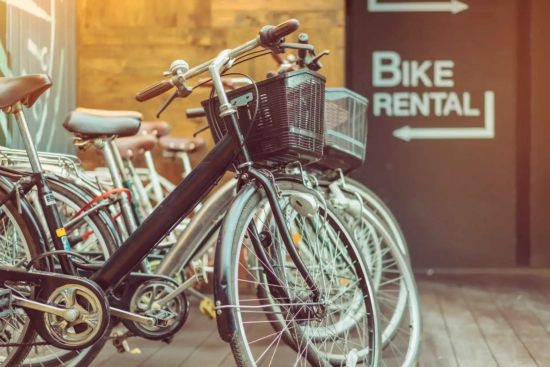 How to Grow Your Team as a Bike Rental Business Owner