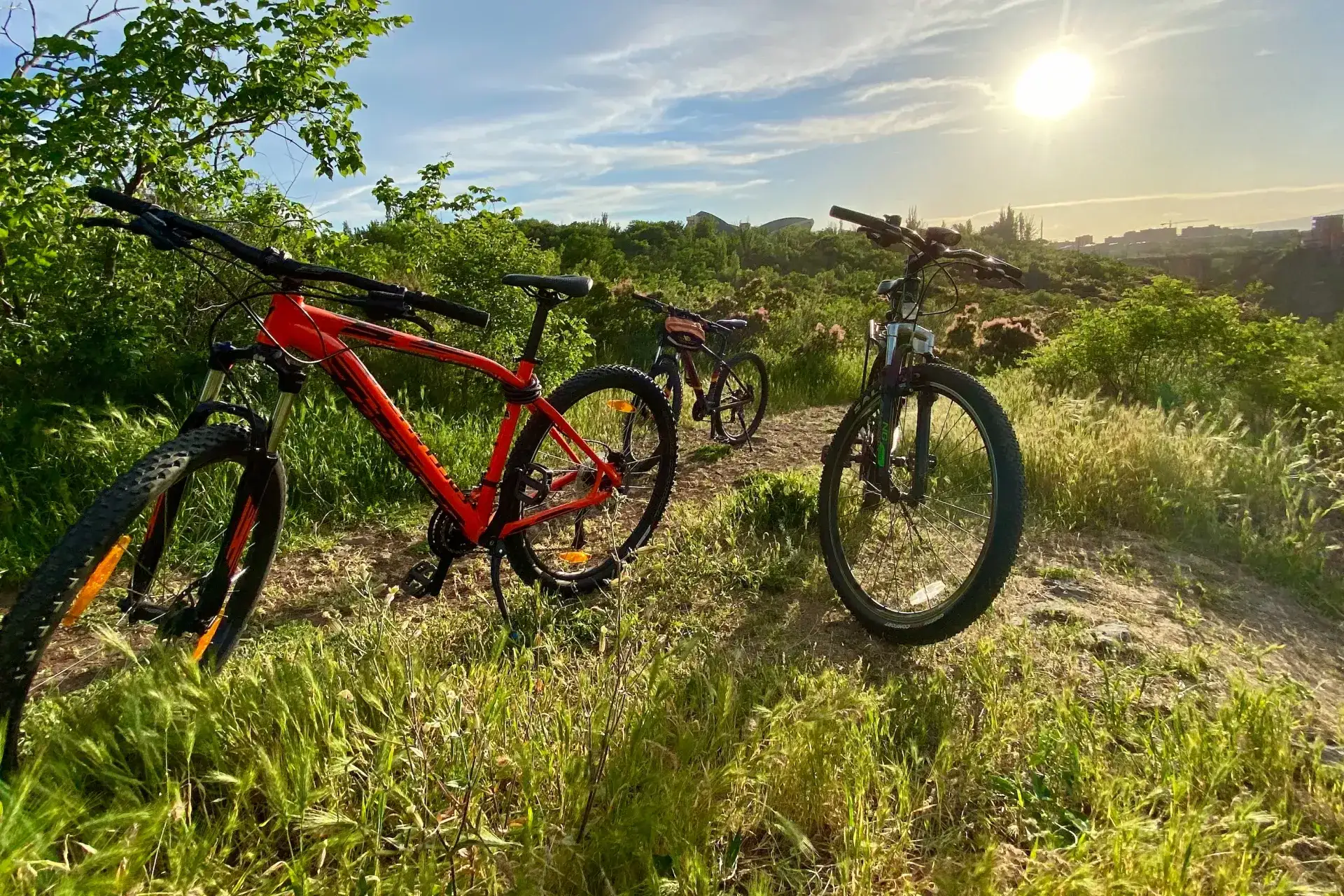 Top 10 Most Sustainable Rental Businesses You Can Start in 2024