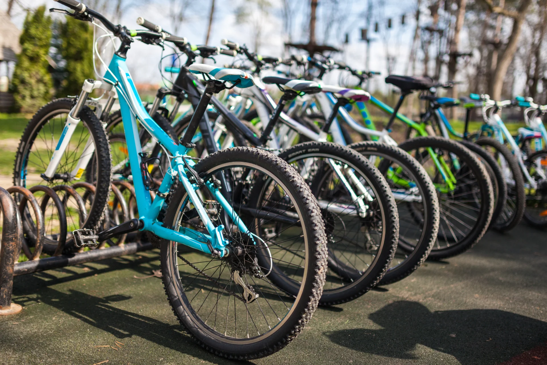 Mountain bikes parked at an outdoor bike rental location