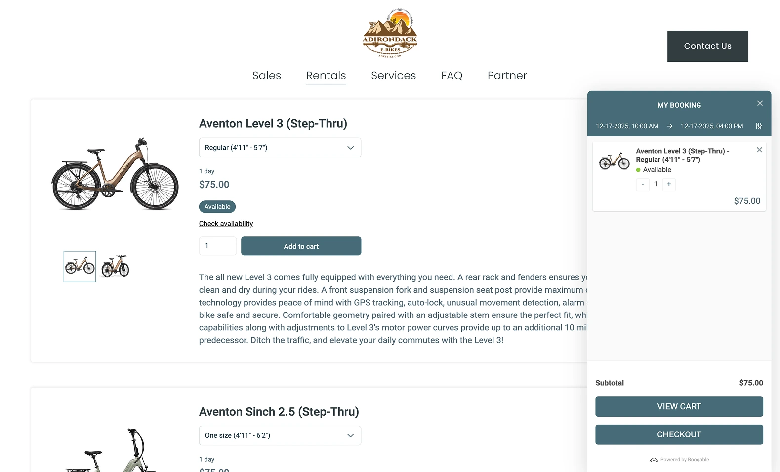 adirondack-e-bikes-image-1