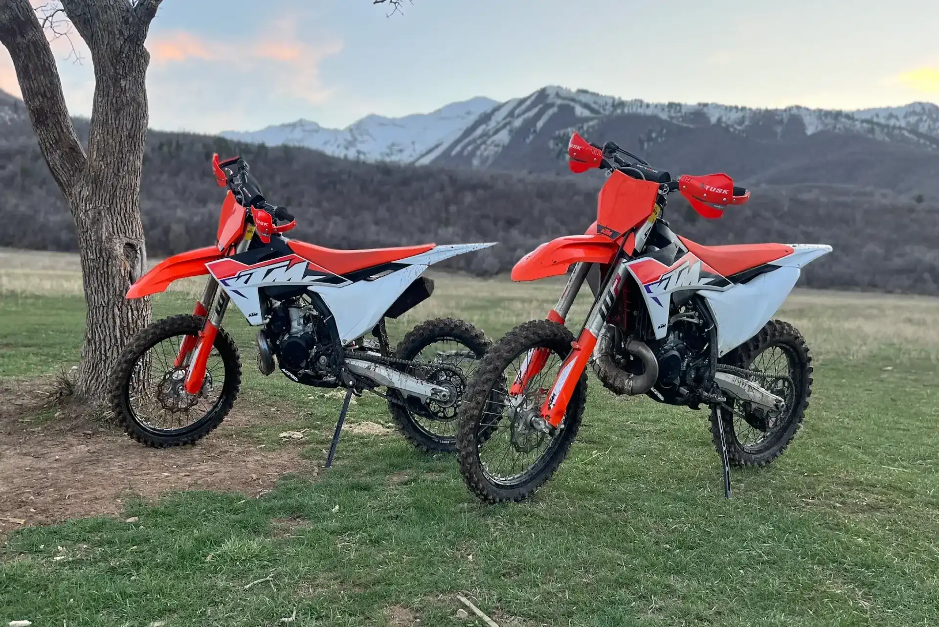 AlpMX Adventures: Accelerating Dirt Bike Rentals with Booqable