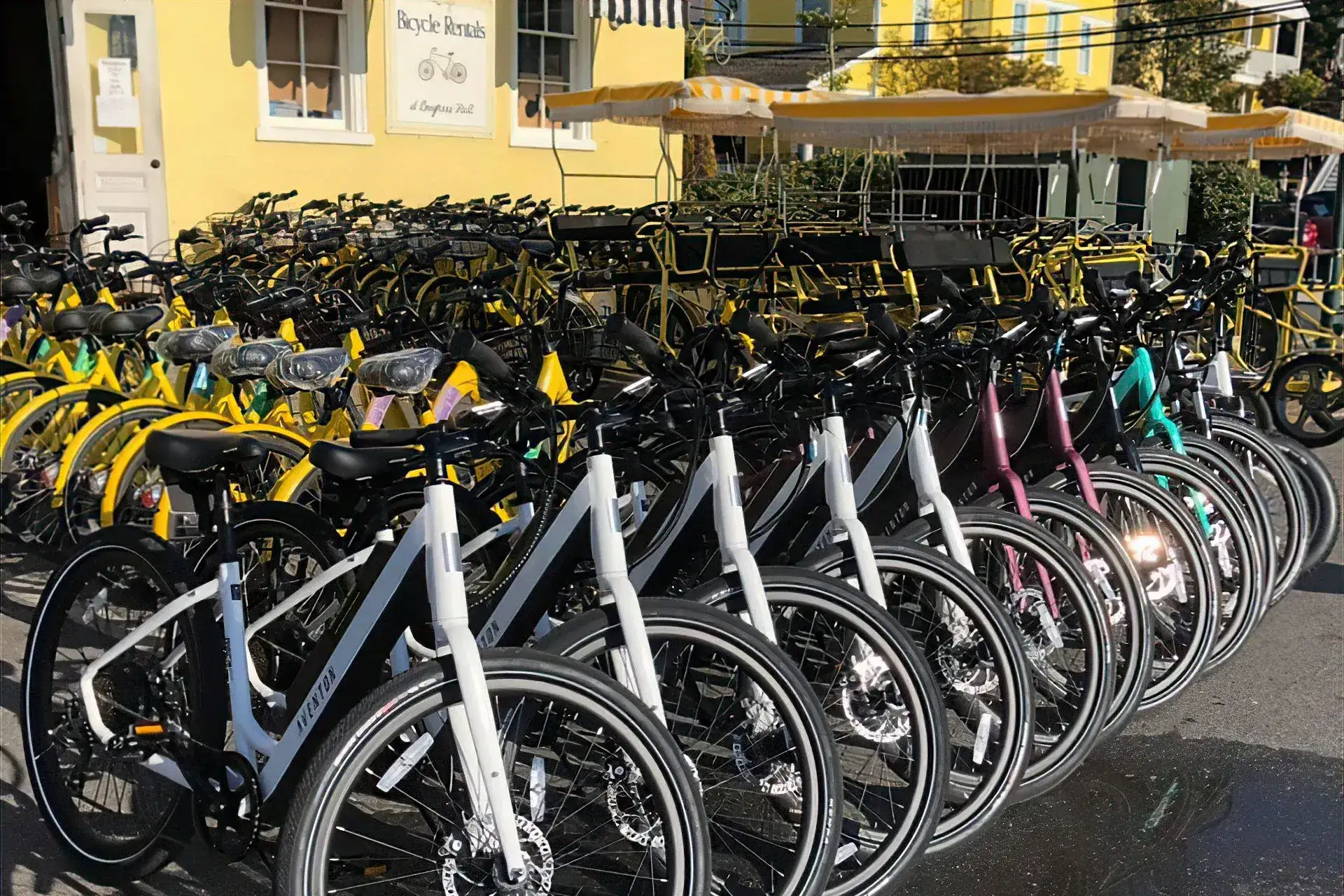 Cape Island Bikes Digitized Their Inventory and Started Taking Online Bookings After 25 Years