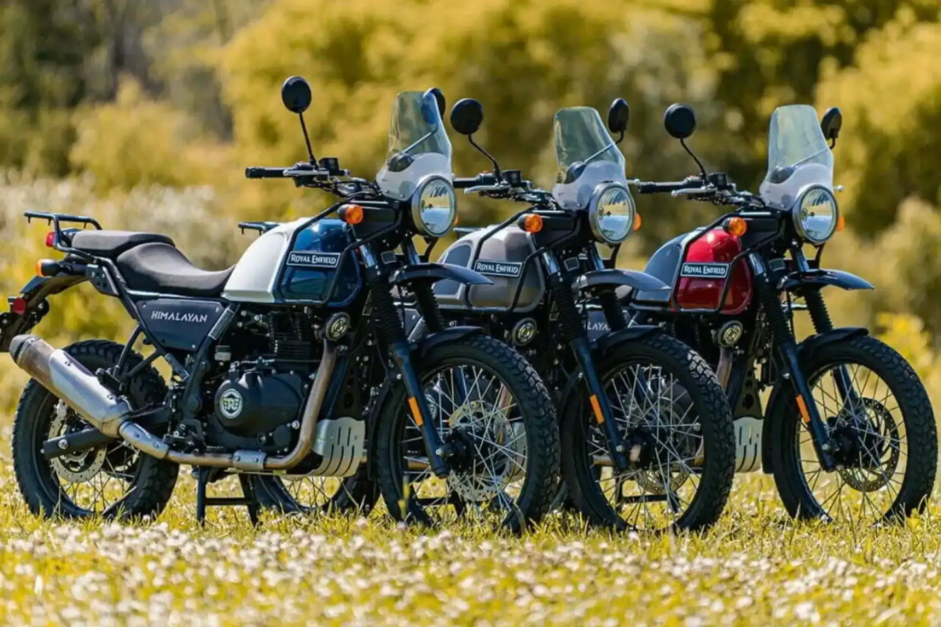 Making a Life-Changing Decision with Medellin Sport Rentals