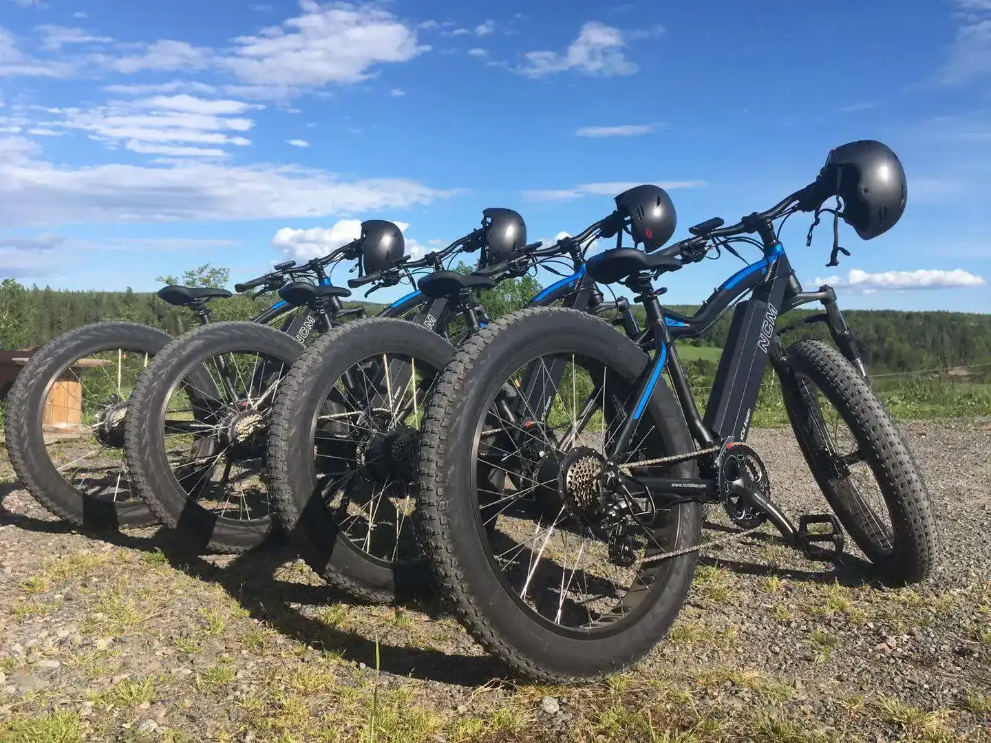 Turning a Summer Night’s Dream into Reality with Mike’s E-Bikes