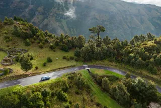 Habitat Madeira