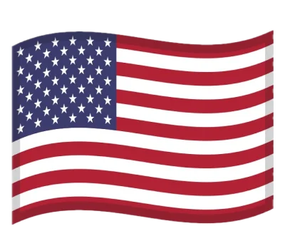 Flag icon