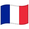 Flag icon