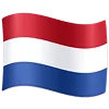Flag icon