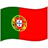 Flag icon