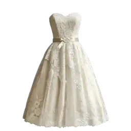 Clothing and Fashion Rental Software