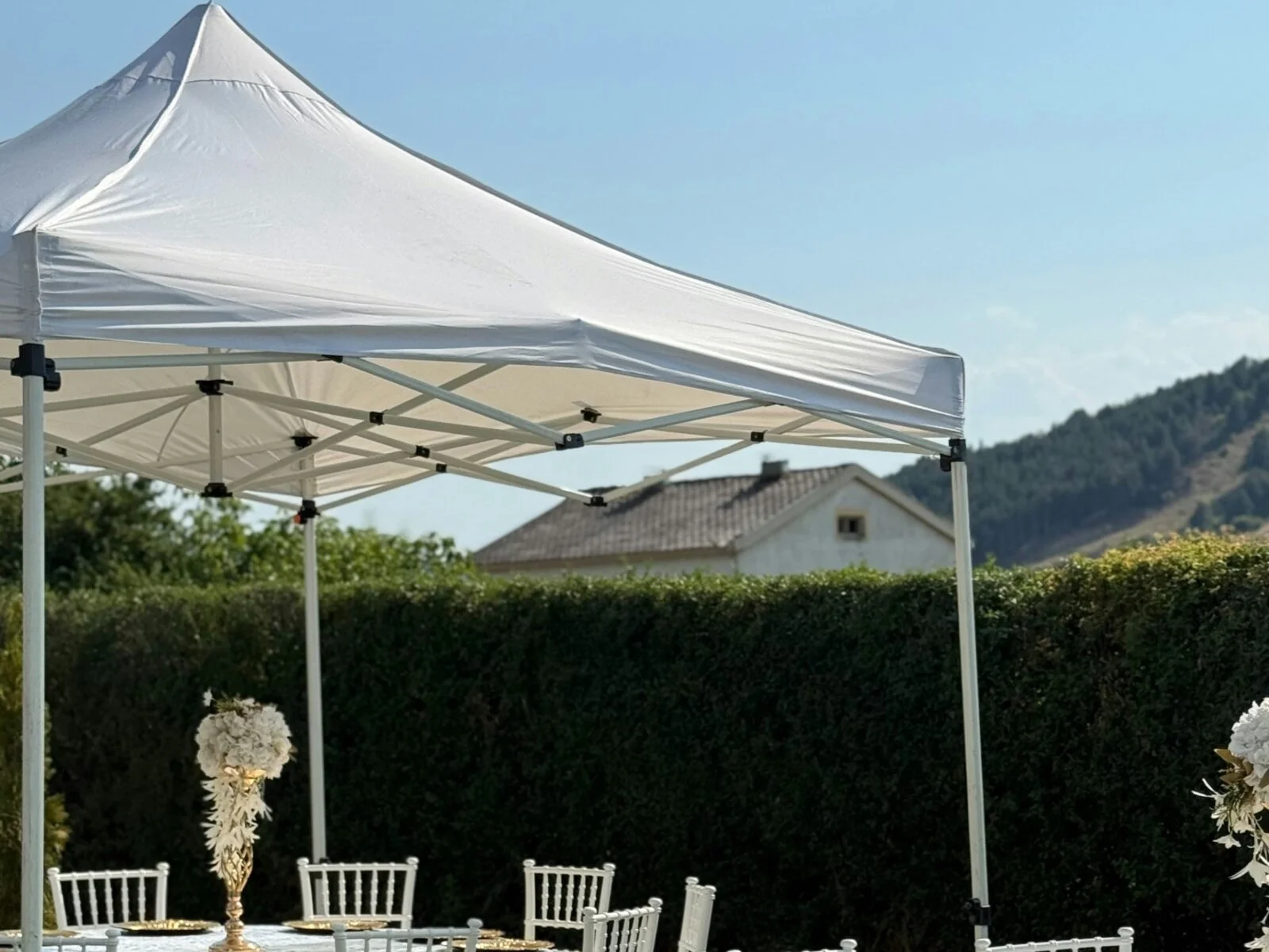 10 × 10 pop-up tent